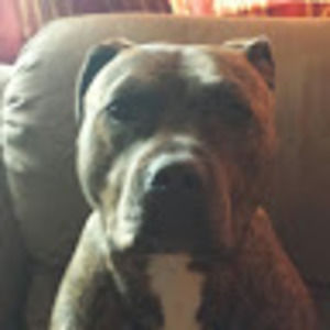 Meet your Posher, Robert c.